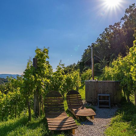 Vineyard Cottage Skatlar 3 Otočec Eksteriør billede