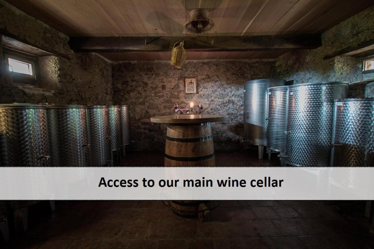 Vineyard Cottage Skatlar 3 Otočec Eksteriør billede