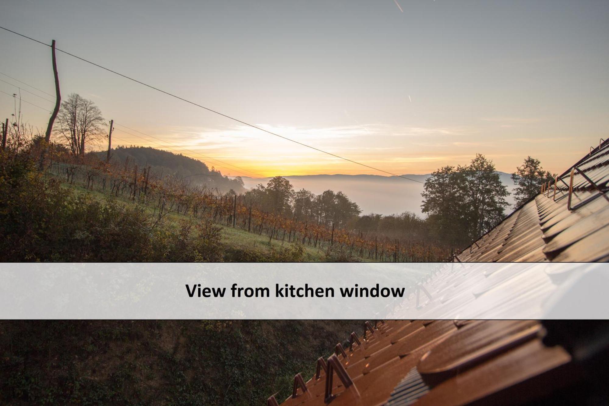 Vineyard Cottage Skatlar 3 Otočec Eksteriør billede